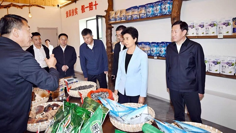 0821010106.jpg